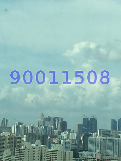 Bishan Loft (D20), Condominium #58711472